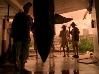 Click to watch 'Wet Foot/Dry Foot' (popup) CSI Miami